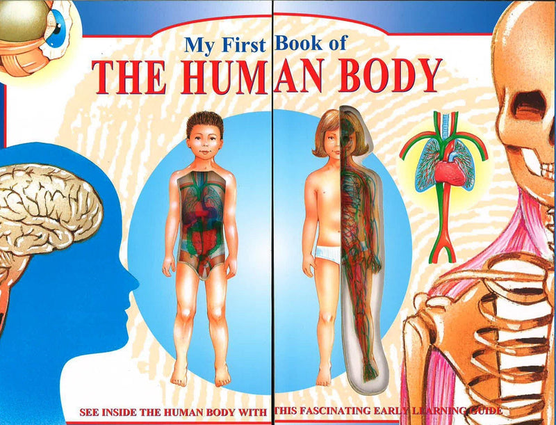 My first book of The Human Body - SpectrumStore SG