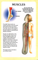 My first book of The Human Body - SpectrumStore SG