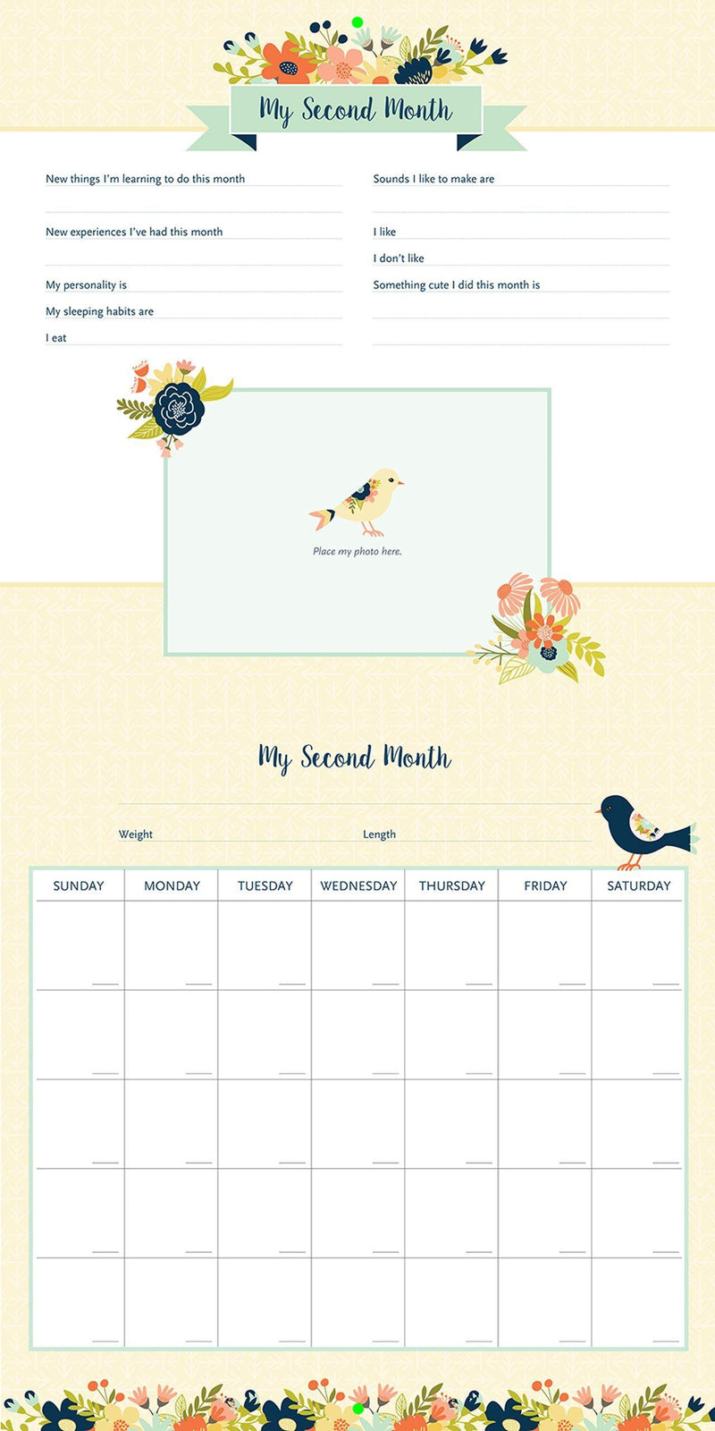 My Life as a Baby A First-Year Calendar - Birds - SpectrumStore SG