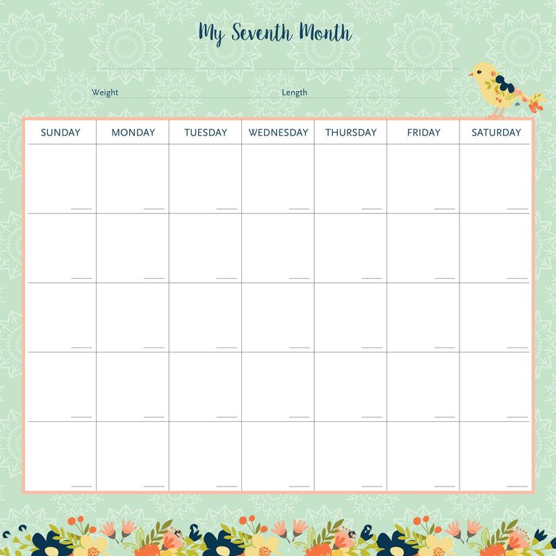 My Life as a Baby A First-Year Calendar - Birds - SpectrumStore SG