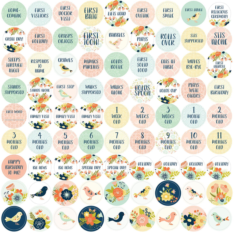 My Life as a Baby A First-Year Calendar - Birds - SpectrumStore SG