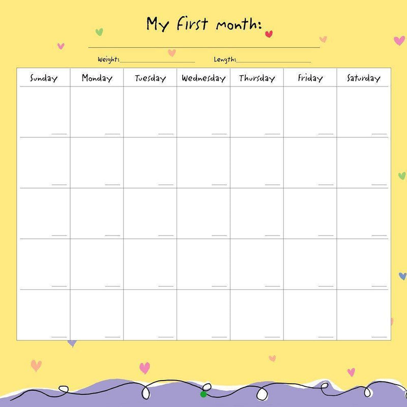 My Life as a Baby A First Year Calendar (Organizer) Calendar – Wall Calendar - SpectrumStore SG