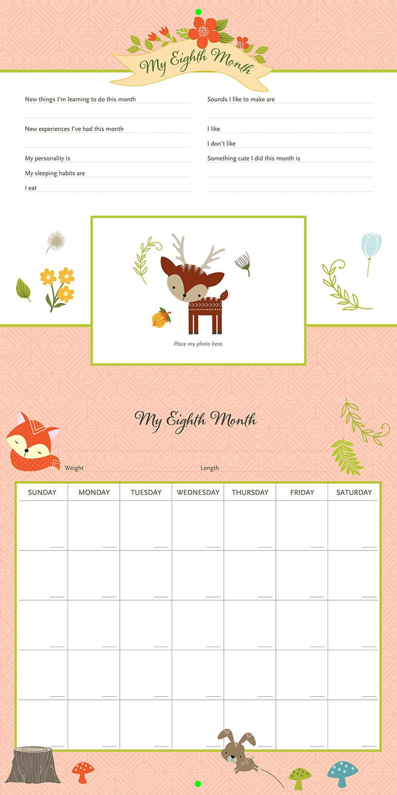 My Life as a Baby A First-Year Calendar - Woodland Friends - SpectrumStore SG