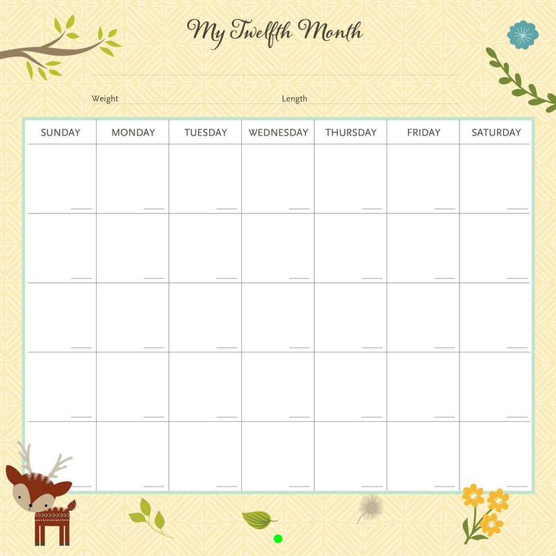 My Life as a Baby A First-Year Calendar - Woodland Friends - SpectrumStore SG
