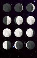 My Very Own Moon - SpectrumStore SG