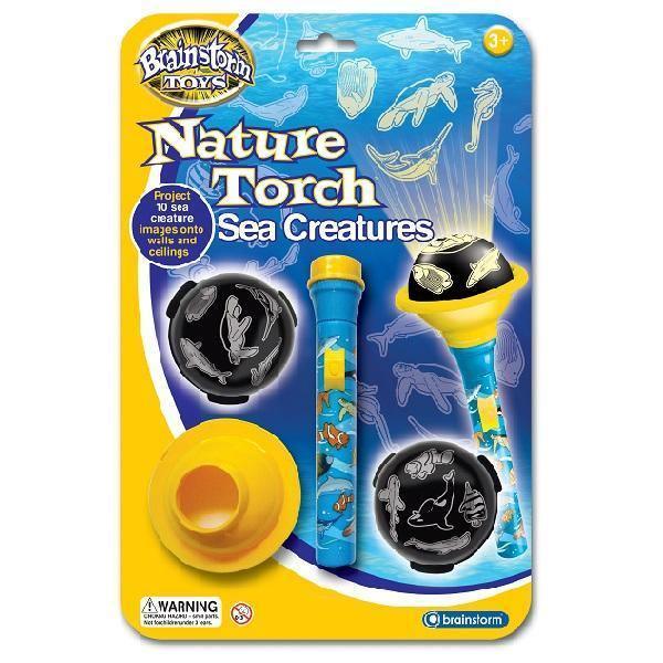 Nature Torch Sea Creatures - SpectrumStore SG