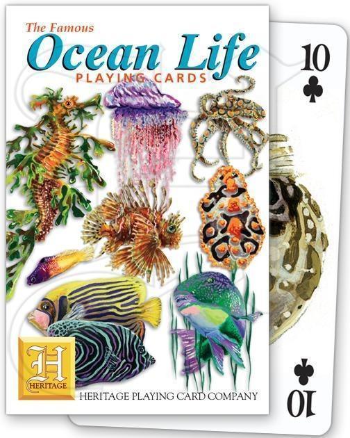 Ocean Life - SpectrumStore SG