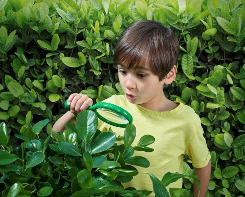 Outdoor Adventure Magnifier - 40ft + - SpectrumStore SG