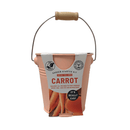 Pastel Colour Zinc Pails with Wooden Handles - Carrot - SpectrumStore SG