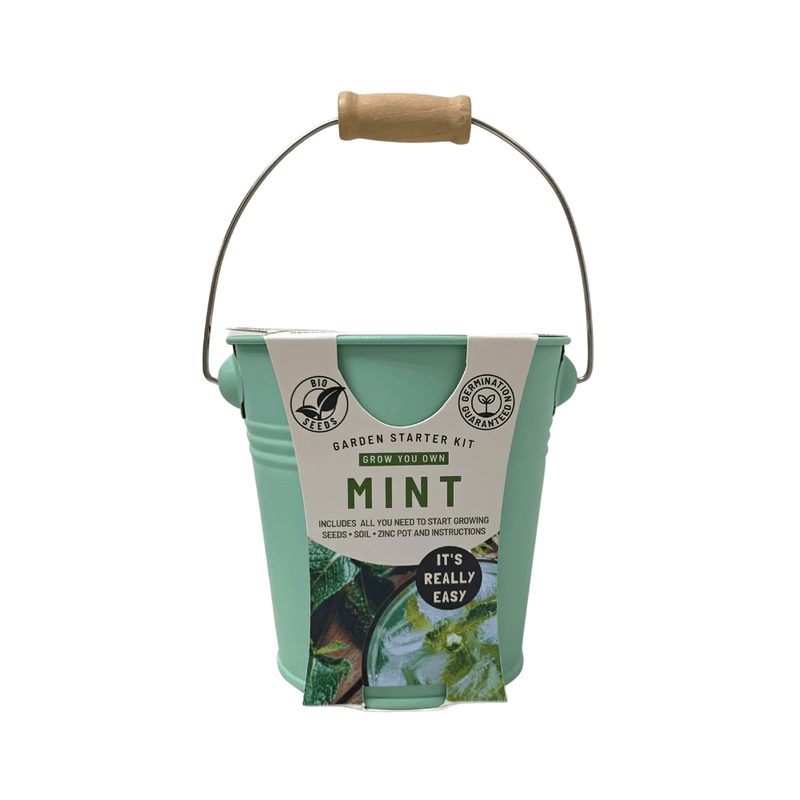 Pastel Colour Zinc Pails with Wooden Handles - Mint - SpectrumStore SG