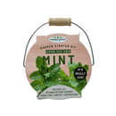 Pastel Colour Zinc Pails with Wooden Handles - Mint - SpectrumStore SG