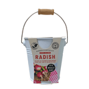 Pastel Colour Zinc Pails with Wooden Handles - Radish - SpectrumStore SG