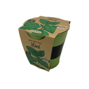 Pastel Coloured Pots With Chalk: Mint - SpectrumStore SG