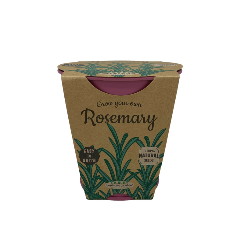 Pastel Coloured Pots With Chalk: Rosemary - SpectrumStore SG