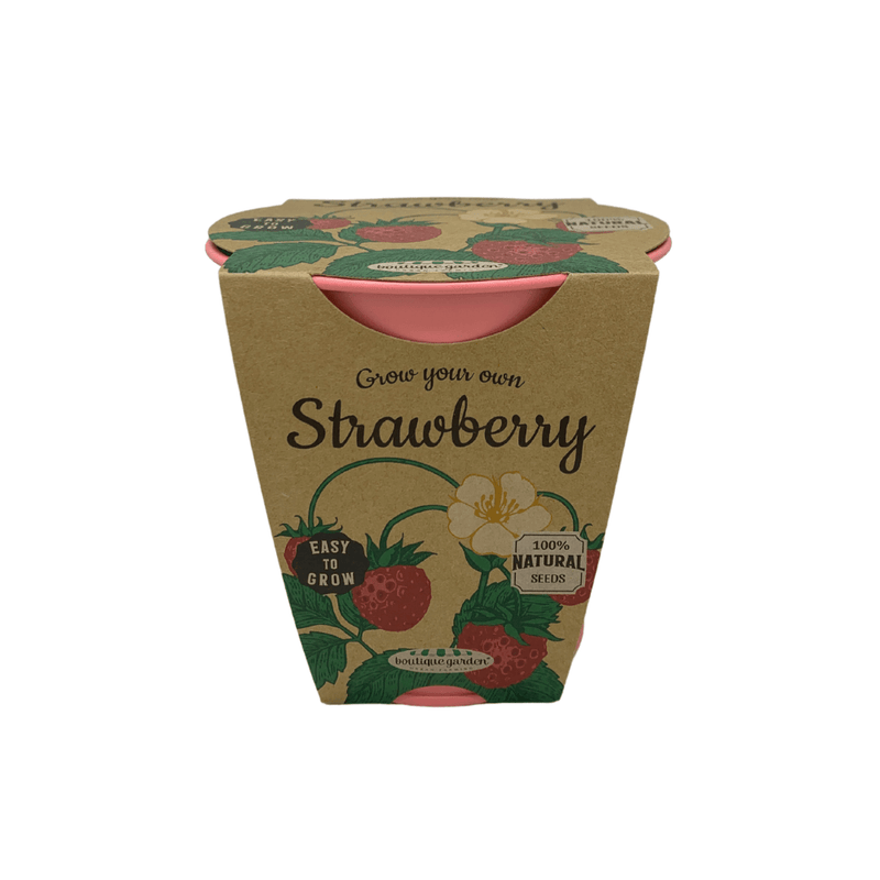 Pastel Coloured Pots With Chalk: Strawberry - SpectrumStore SG