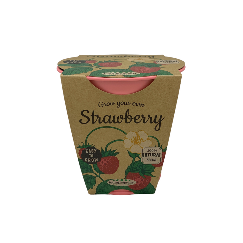 Pastel Coloured Pots With Chalk: Strawberry - SpectrumStore SG