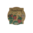 Pastel Coloured Pots With Chalk: Strawberry - SpectrumStore SG