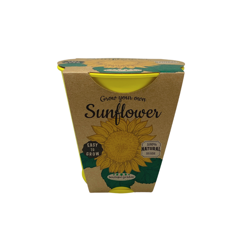 Pastel Coloured Pots With Chalk: Sunflower - SpectrumStore SG
