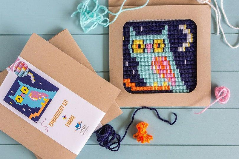 Picture Frame Needlepoint Kit - Owl - SpectrumStore SG
