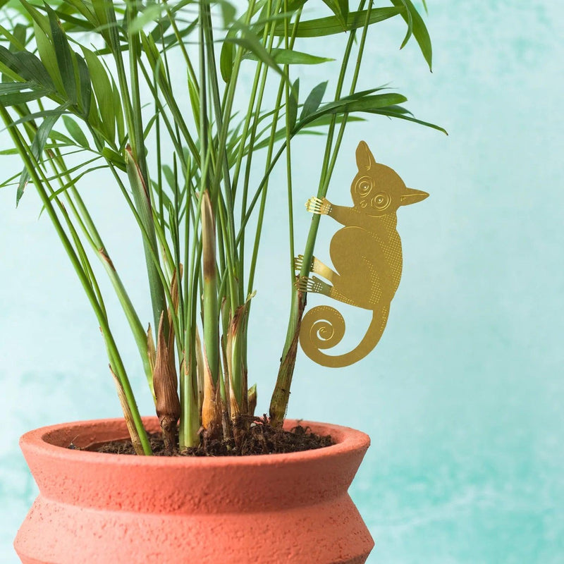 Plant Animals: Bush Baby - SpectrumStore SG