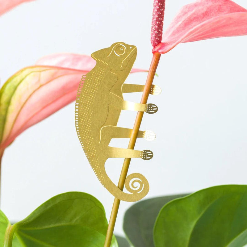 Plant Animals: Chameleon - SpectrumStore SG