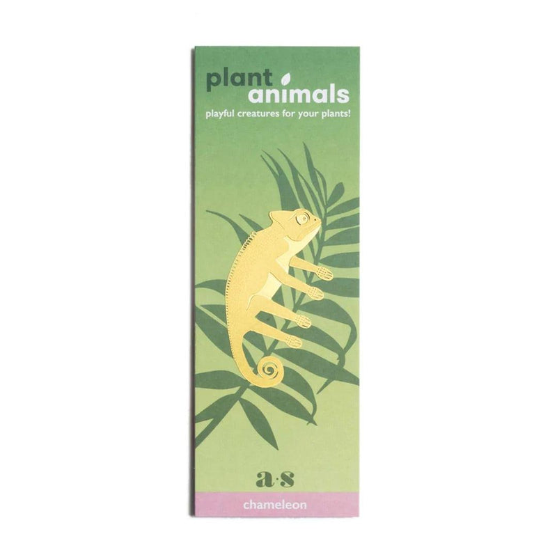 Plant Animals: Chameleon - SpectrumStore SG