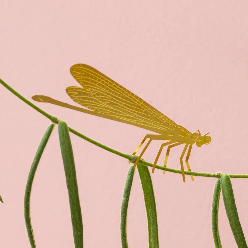 Plant Animals: Damselfly - SpectrumStore SG