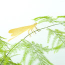 Plant Animals: Damselfly - SpectrumStore SG