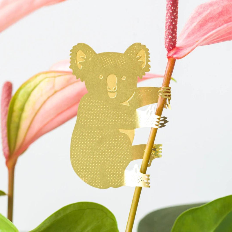 Plant Animals: Koala - SpectrumStore SG