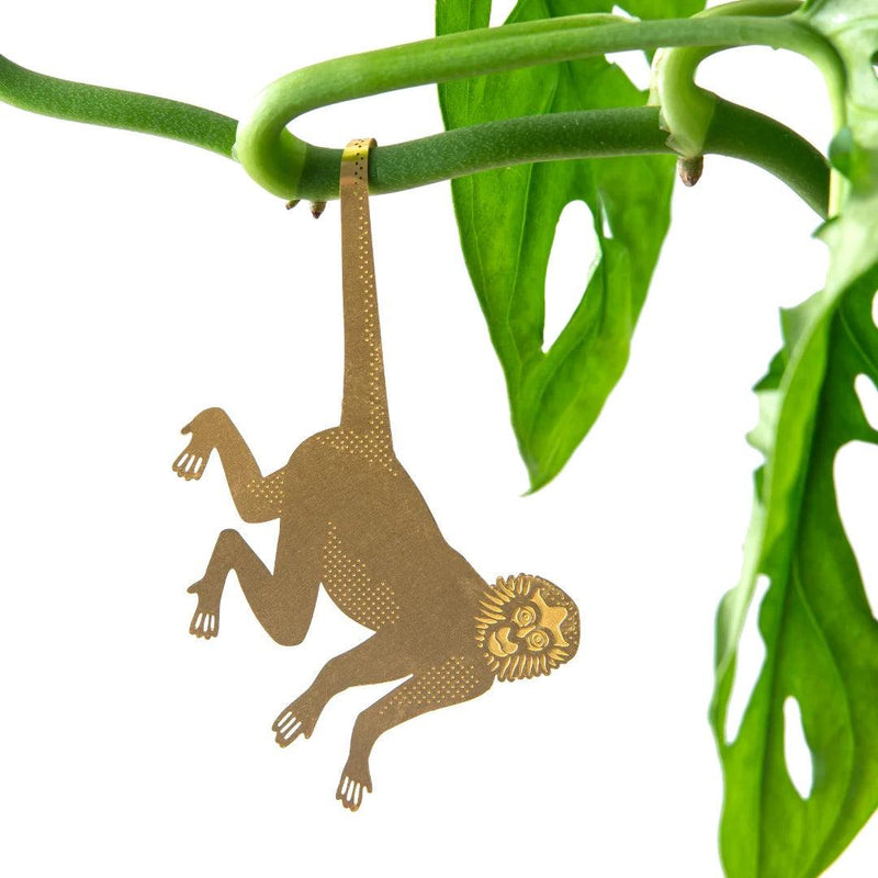 Plant Animals: Monkey - SpectrumStore SG