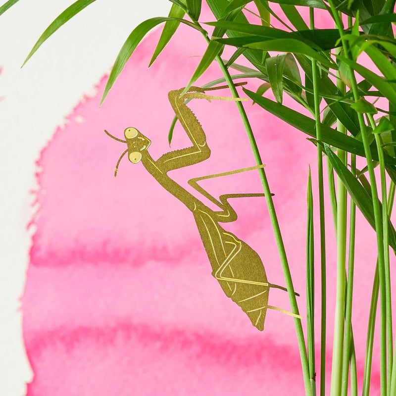 Plant Animals: Praying Mantis - SpectrumStore SG