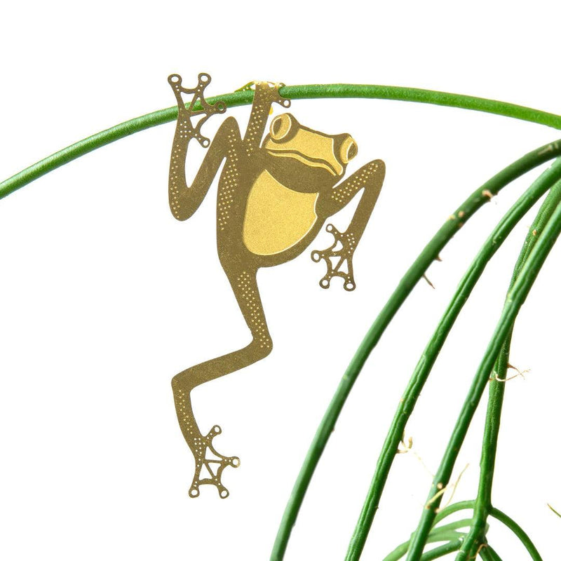 Plant Animals: Tree Frog - SpectrumStore SG