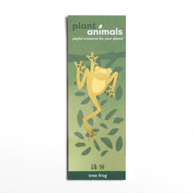 Plant Animals: Tree Frog - SpectrumStore SG