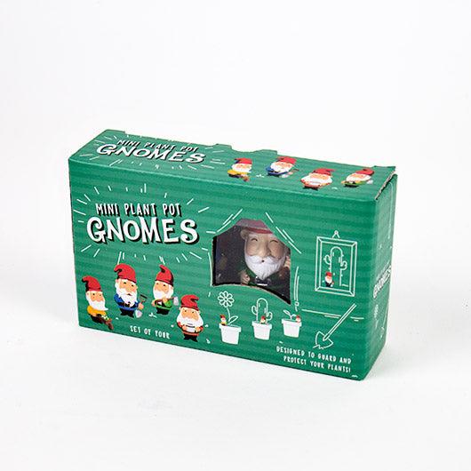 Plant Pot Mini: Gnomes - SpectrumStore SG