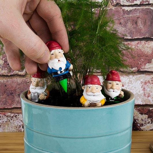 Plant Pot Mini: Gnomes - SpectrumStore SG