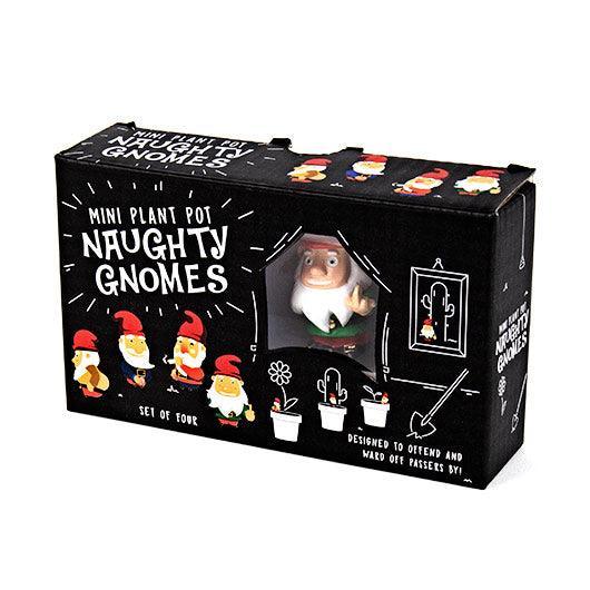 Plant Pot Mini: Naughty Gnomes - SpectrumStore SG