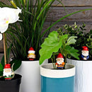 Plant Pot Mini: Naughty Gnomes - SpectrumStore SG