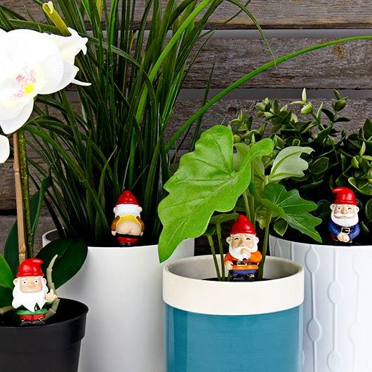 Plant Pot Mini: Naughty Gnomes - SpectrumStore SG