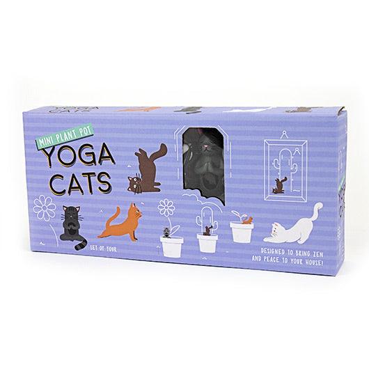 Plant Pot Mini: Yoga Cats - SpectrumStore SG