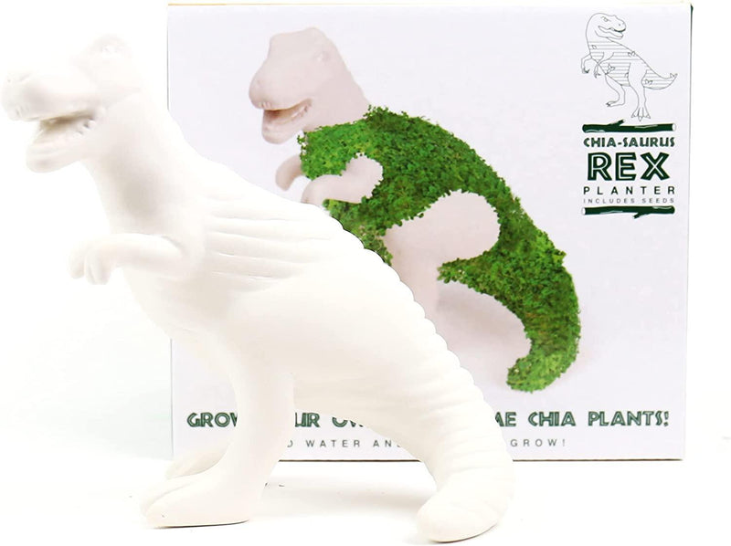 Planter: Chia-saurus-rex - Seeds - SpectrumStore SG