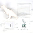 Planter: Chia-saurus-rex - Seeds - SpectrumStore SG