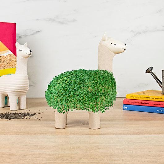 Planter: Llama - Seeds - SpectrumStore SG