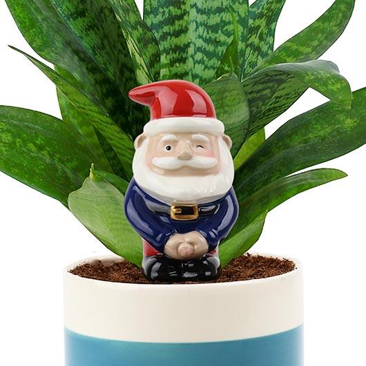 Planter: Self Watering Peeing Gnome - SpectrumStore SG