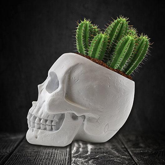 Planter: Skull - Seeds - SpectrumStore SG