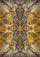 Portraits of a Woman, Aspects of a Goddess - Inspirational Cards - SpectrumStore SG