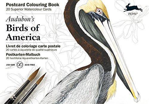 Postcard Colouring Book: Audubon's Birds of America - SpectrumStore SG