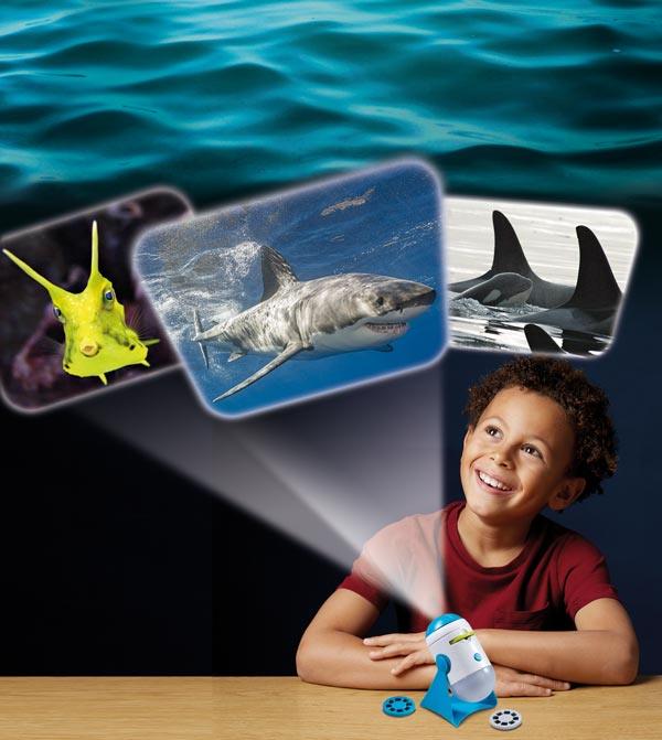Projector and Night light: Sea Creatures - SpectrumStore SG