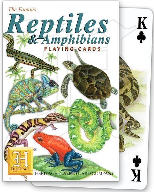 Reptiles & Amphibians - SpectrumStore SG