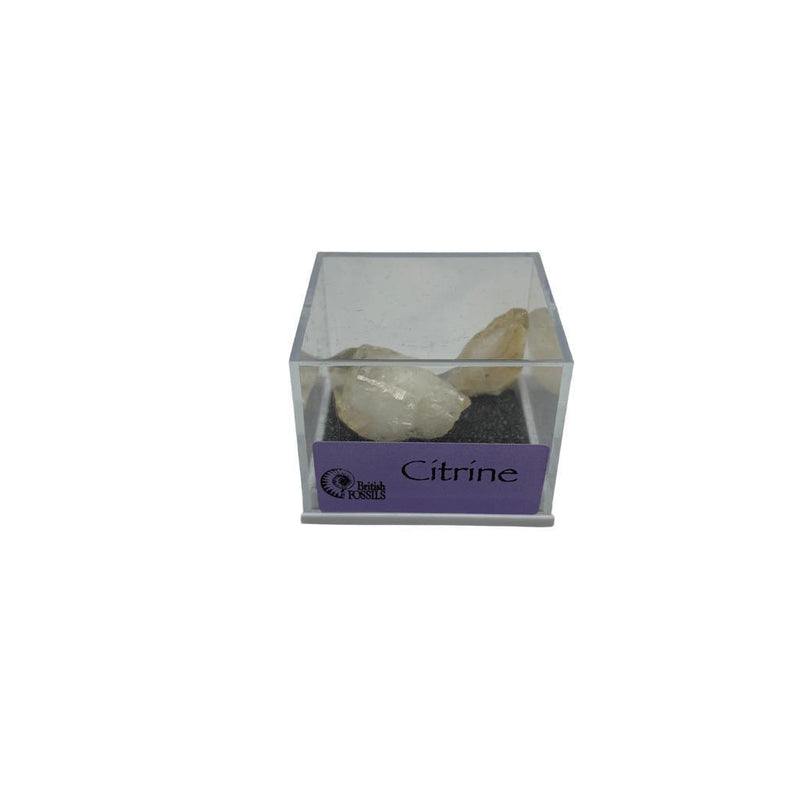 Rocks And Minerals (Small Box) - SpectrumStore SG