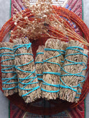 Rosemary (10cm) - SpectrumStore SG